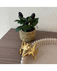 BRAZALETE