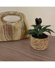 BOLSO ASA DORADO