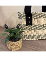CESTA RAFIA