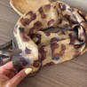 PAÑUELO ANIMAL PRINT